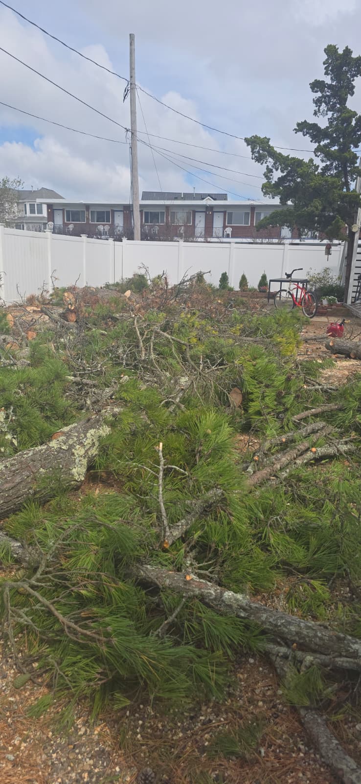 Sandoval Brothers Services LLC